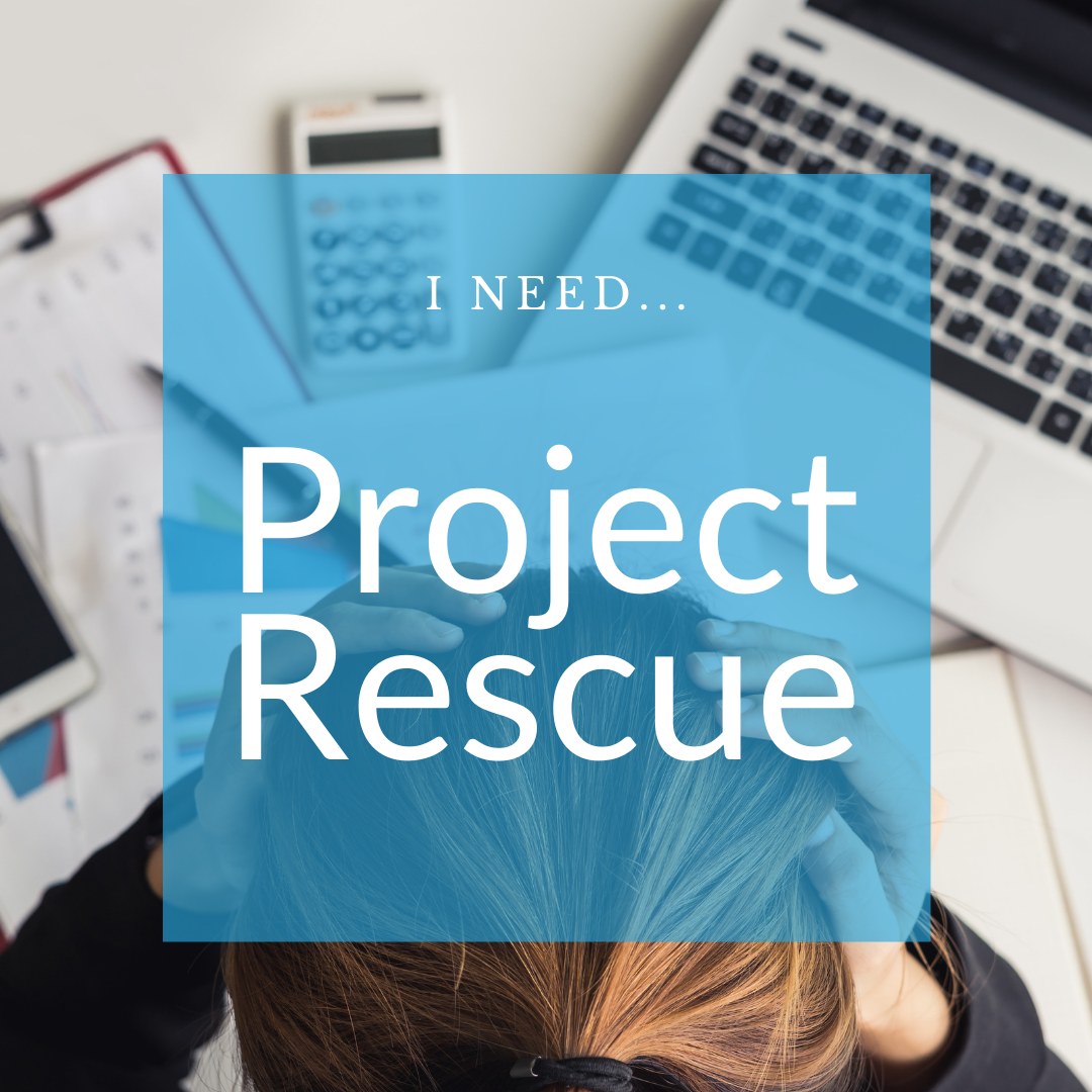 netsuite project rescue